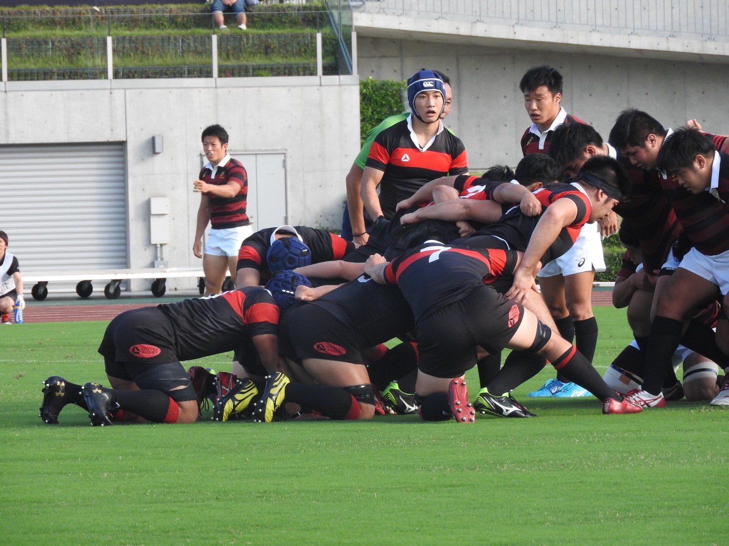 ラグビー メンバー 大学 早稲田 部